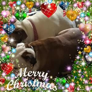 Meet your Posher, Fran